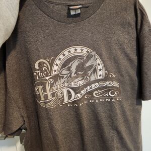 Harley-Davidson Men's Gray Graphic Tee